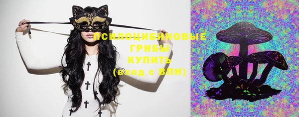 кокс Пестово