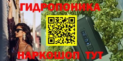 ECSTASY Кимры