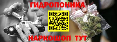 ECSTASY Кимры