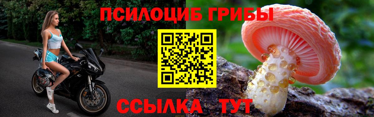 Псилоцибиновые грибы прущие грибы Майский